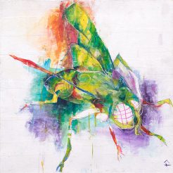 3